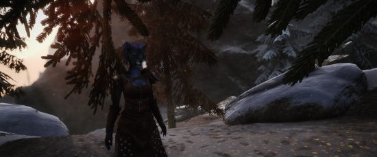 Skyrim SE/AE troubleshooting: Console commands and misc. mods misbehaving (2)